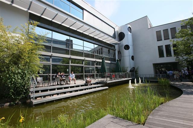 Frankfurt School Of Finance Management Emba Switches Language To English