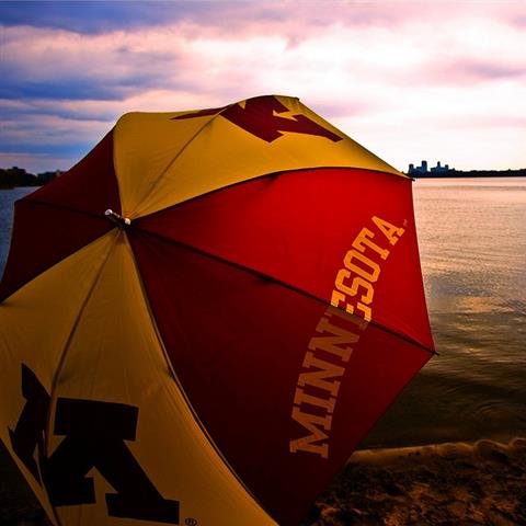 University of Minnesota Umbrella