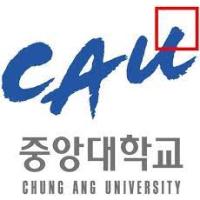 Chung-Ang University - Business School Logo