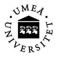 Umeå Universitet - School of Business, Economics and Statistics Logo